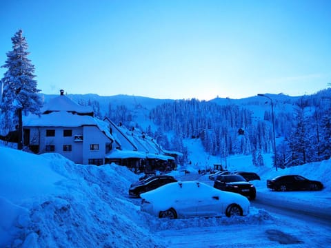 Winter