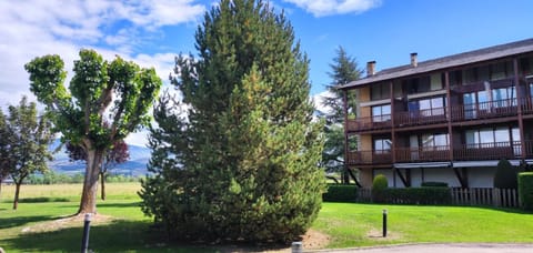 Natural landscape, Garden, Garden view