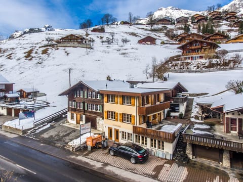 Bird's eye view, Winter