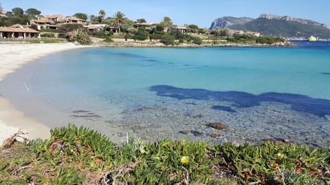 Natural landscape, Beach, Sea view