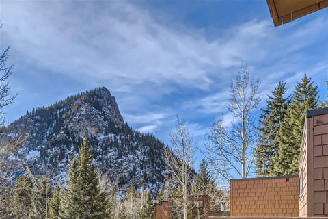 Cabin Creek Condos C-1 condo Cabin in Frisco