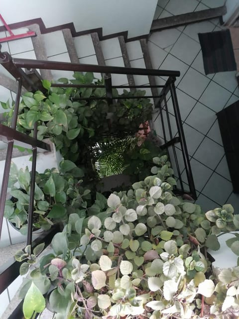 Casa los Arcos Oaxaca Vacation rental in Oaxaca