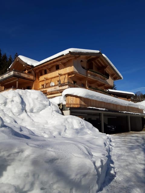 Oberfasser Apartment in Salzburgerland