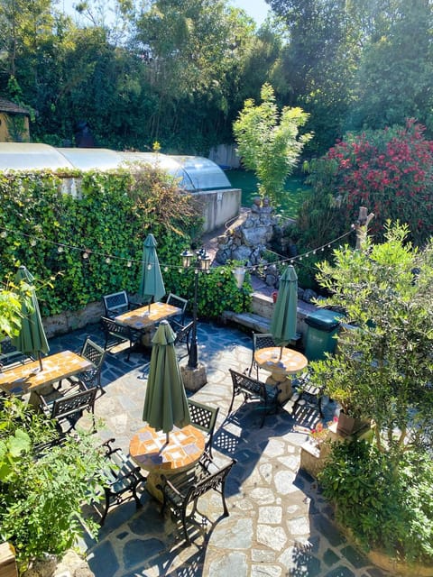 Patio, Spring, Day, Garden, Dining area, Garden view