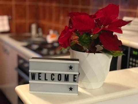 A3M APARTMENT Apartment in Serbia