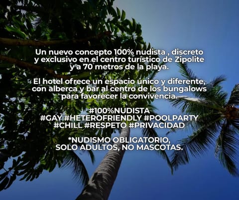 Garden, Garden view, Pool view, Swimming pool