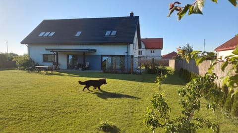 Property building, Garden, Pets