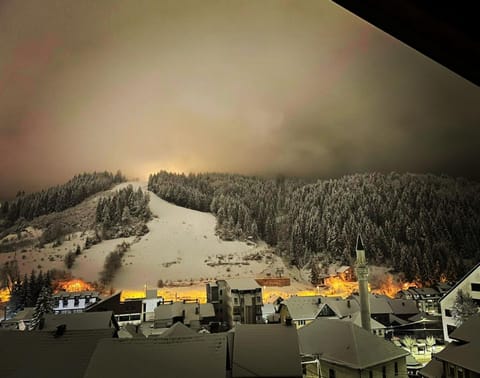 Duh Zlatara Apartment in Zlatibor District, Serbia