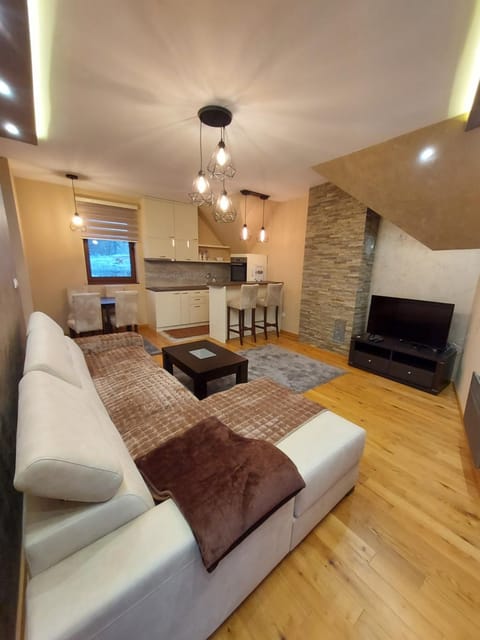Communal lounge/ TV room, TV and multimedia, Kitchen or kitchenette, Living room, Seating area