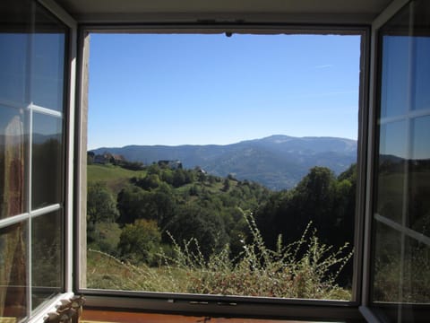 Mountain view