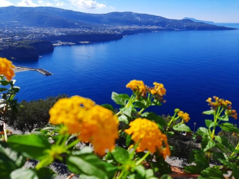 Natural landscape, Sea view
