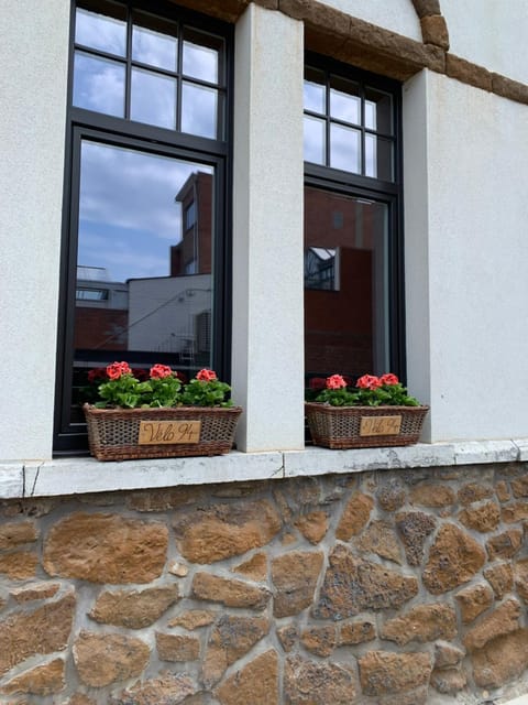 Vélo 94 Villa in Flanders