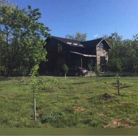 Property building, Spring, Day, Natural landscape