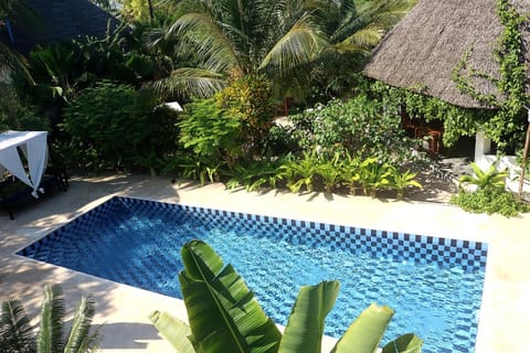 Property building, Restaurant/places to eat, Swimming pool