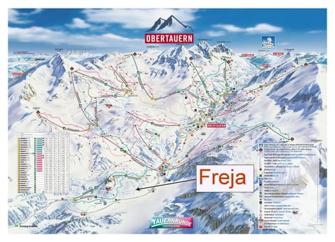 Obertauern-Freja-Apartment Apartment in Obertauern