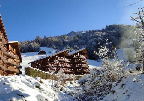 Property building, Winter