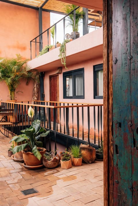 Property building, Patio, Day, Garden, View (from property/room), Decorative detail, Garden view