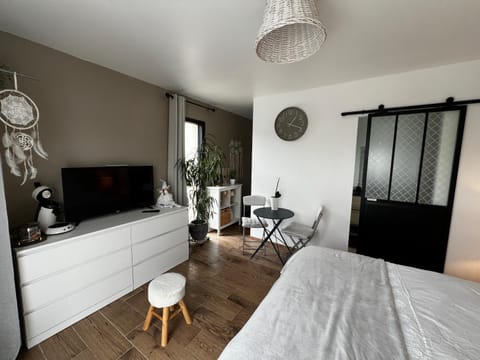 Quiniere - Entre Lac et Forêt - 25 m2 indépendant avec piscine Bed and Breakfast in Blois