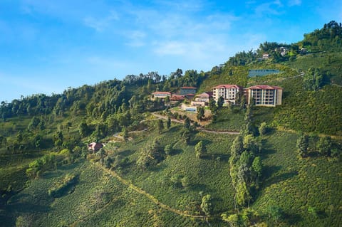 Natural landscape