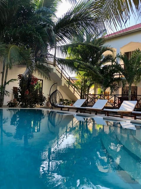 Day, Garden, Garden view, Swimming pool, sunbed
