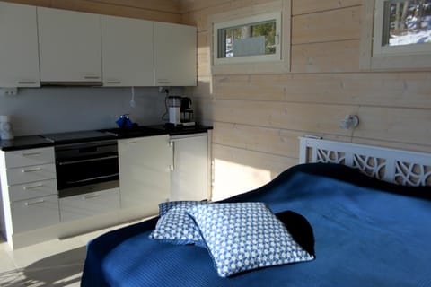 Pikkumerikotka Apartment in Finland