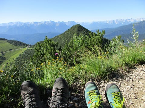 Haus Schaffler Apartment in Kochel