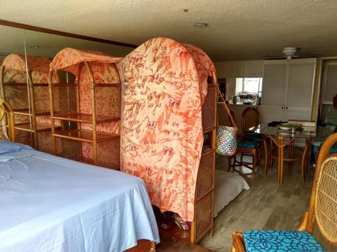 IOW4 LM Studio Vacation rental in Acapulco