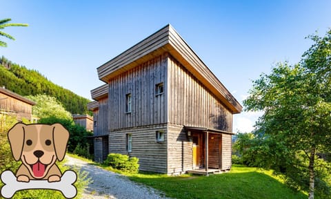 Property building, Summer, Animals, Pets