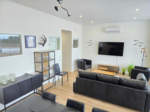 TV and multimedia, Living room, Seating area, air conditioner