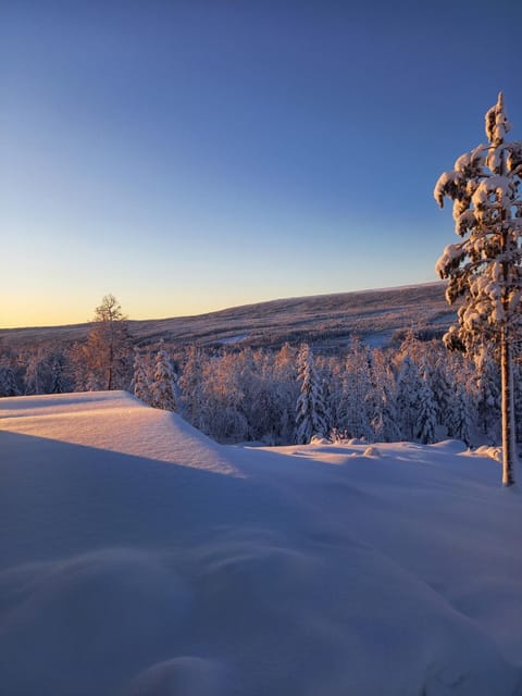 Natural landscape