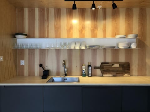 Kitchen or kitchenette, kitchen