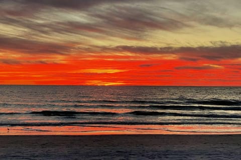 New Pool and Hot Tub! Beachfront Indian Shores Condo Apartment in Redington Shores