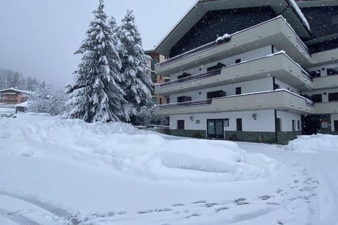 200 m dagli impianti Il rifugio dello sciatore Apartment in Aprica