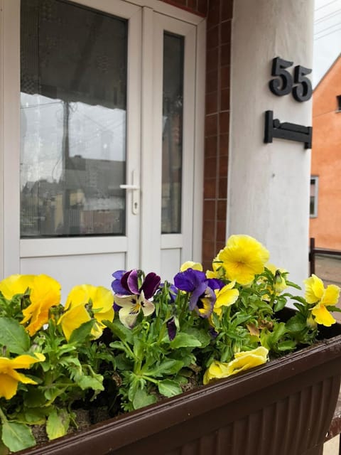 KRIN apartman Apartment in Vojvodina