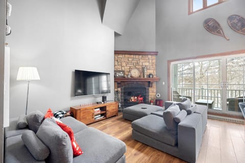 TV and multimedia, Living room, Seating area, fireplace
