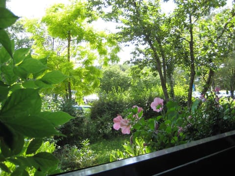 Haus an der Therme Apartment in Salzburgerland