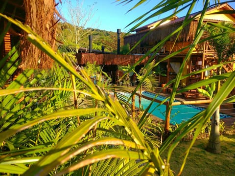 Garden, Pool view, Swimming pool