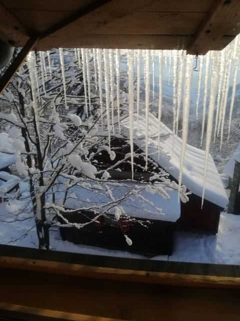 Mountain House Mijatović House in Serbia