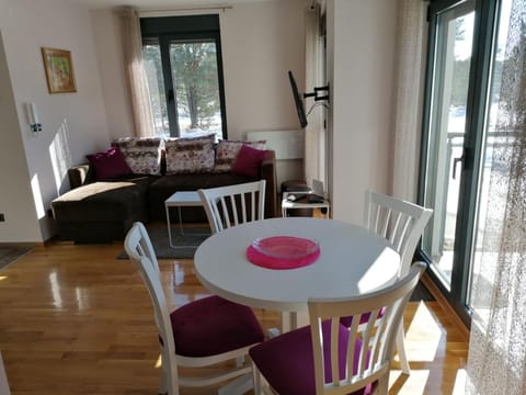 Milan ex SMILE 2 Apartment in Zlatibor District, Serbia