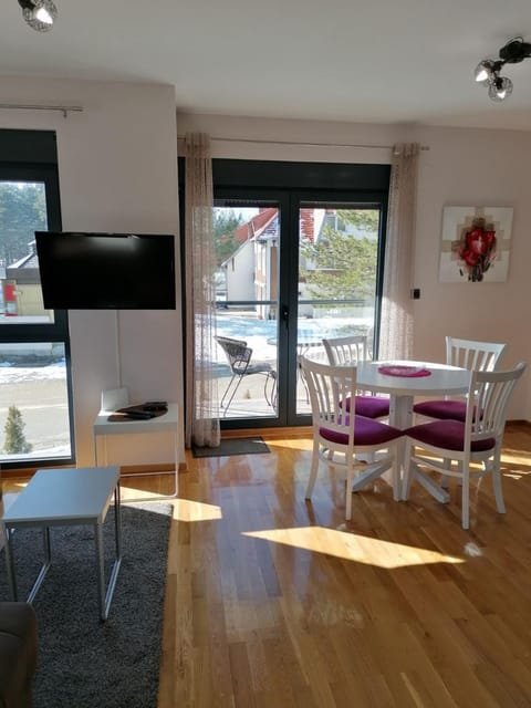 Milan ex SMILE 2 Apartment in Zlatibor District, Serbia