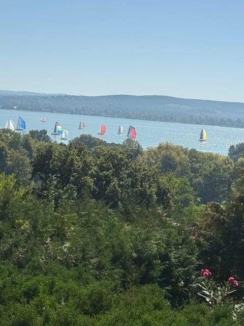 Lake view