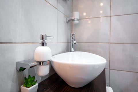 Apartman Sofi LUX Apartment in Vojvodina