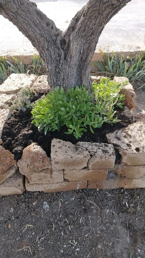 APPARTAMENTO Tamburro Apartment in Molise, Italy