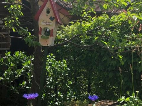 Haus Oberland Apartment in Salzburgerland