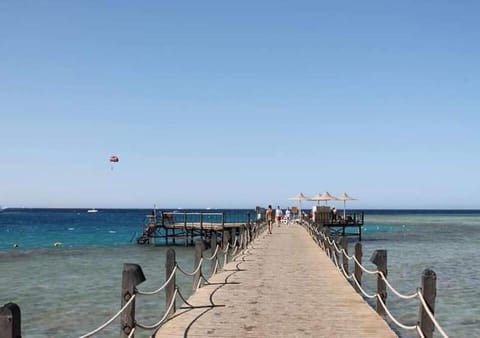 Snorkeling, Beach, Diving