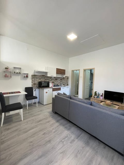 Apartman Arthur Apartment in Timiș County