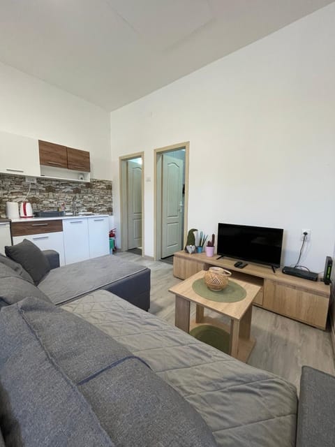 Apartman Arthur Apartment in Timiș County