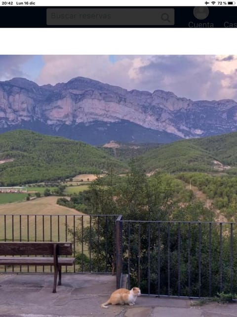 Natural landscape, On site