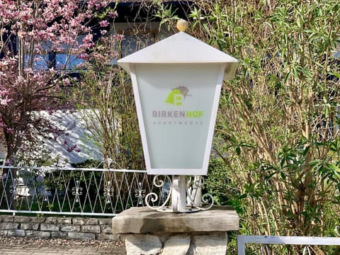 Ferienwohnungen Birkenhof Apartments Apartment in Salzburgerland