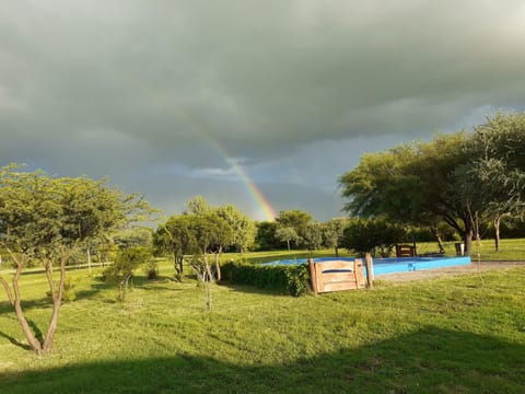 Garden, Swimming pool, Swimming pool
